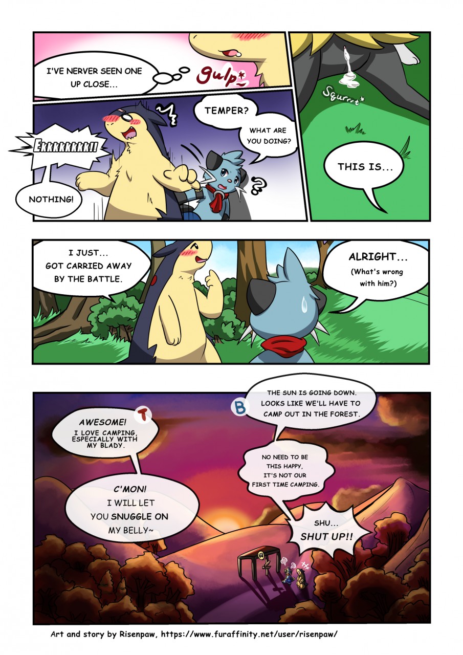 [Risenpaw] First Night (Pokémon)_2.jpg